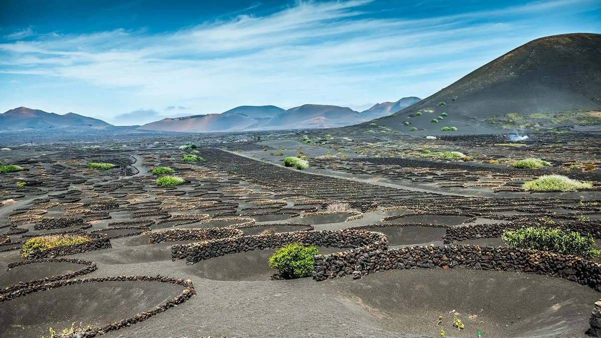 Vineyard on Lanzarote, Canary Islands, Spain