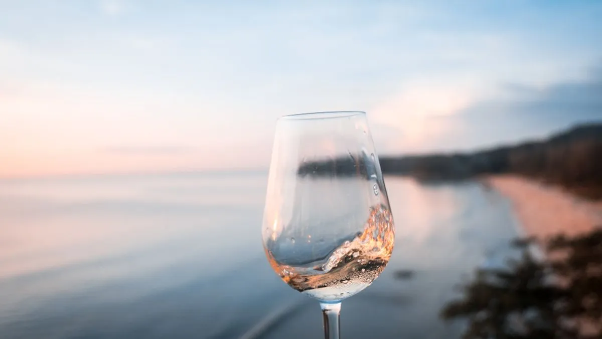 A glass of wine in front of a beach.