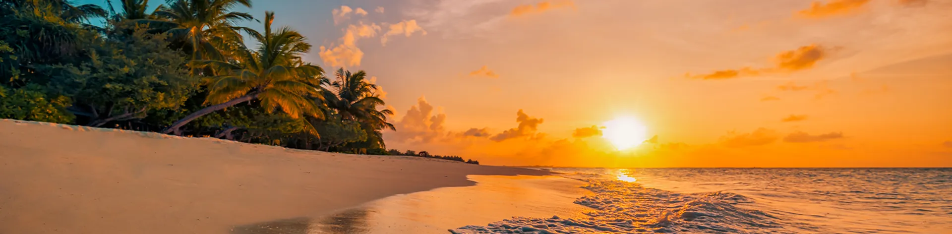 Beautiful panoramic sunset tropical paradise beach. Tranquil summer vacation or holiday landscape. Tropical sunset beach seaside palm calm sea panorama exotic nature view inspirational seascape scenic