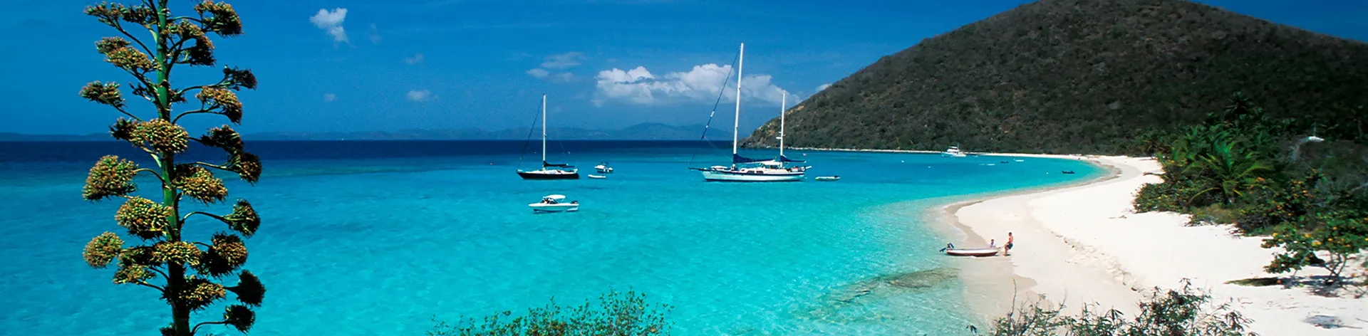 CARIBBEAN - BRITISH VIRGIN ISLANDS - JOST VAN DYKE ISLAND - White Bay