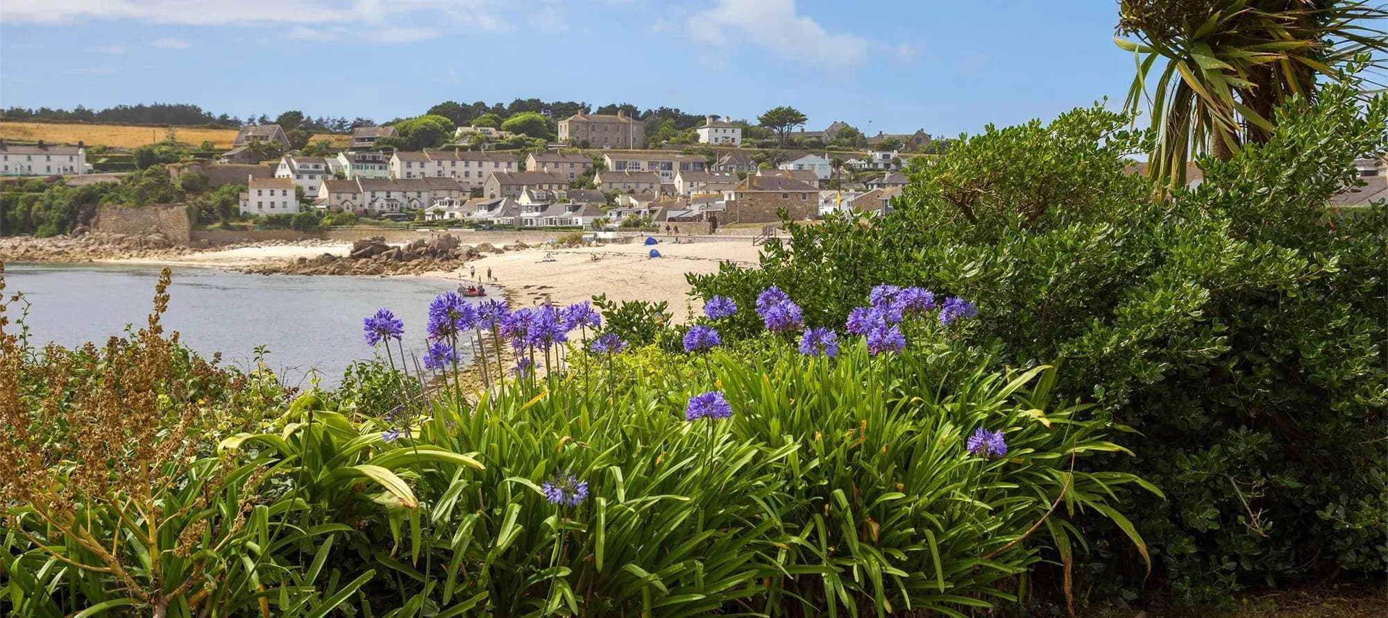 Coastal village scene with a sandy beach, distant cottages, and vibrant purple flowers and greenery in the foreground, in S Mary, UK